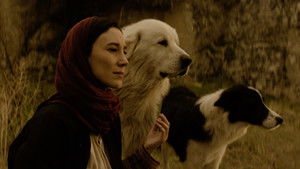 Благословенный кадр 1 онлайн-кинотеатр Эмбликс