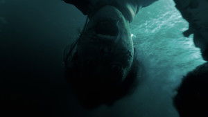 На помощь! кадр 25 онлайн-кинотеатр Эмбликс