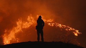 Школьный автобус кадр 17 онлайн-кинотеатр Эмбликс