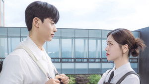 Брендинг в Сонсу кадр 8 на Эмбликс в Hd