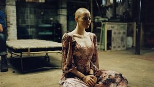 Бугония кадр 20 онлайн-кинотеатр Эмбликс