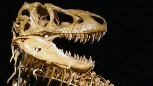 Кости кадр 3 онлайн-кинотеатр Эмбликс