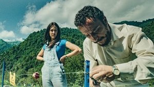 Улей кадр 2 онлайн-кинотеатр Эмбликс