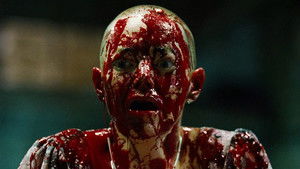 Бугония кадр 62 онлайн-кинотеатр Эмбликс