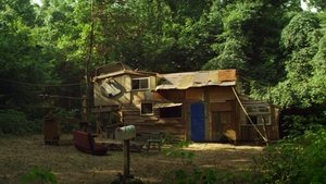 Короли лета кадр 7 онлайн-кинотеатр Эмбликс