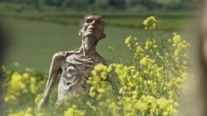 28 лет спустя кадр 8 онлайн-кинотеатр Эмбликс