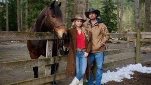 Королевское Рождество в Монтане кадр 3 онлайн-кинотеатр Эмбликс