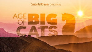 Эра больших кошек кадр 2 на Эмбликс в Hd