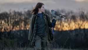 «Я» значит Ястреб кадр 1 онлайн-кинотеатр Эмбликс