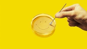 Из многих кадр 2 на Эмбликс в Hd