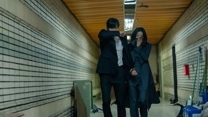 Полярная звезда кадр 9 на Эмбликс в Hd