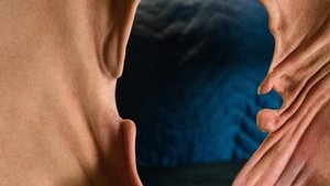 Том Сегура: Зазорные мысли кадр 6 на Эмбликс в Hd