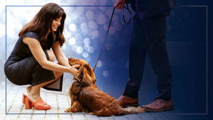 Лапы в городе кадр 2 онлайн-кинотеатр Эмбликс