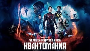 Человек-муравей и Оса: Квантомания кадр 38 онлайн-кинотеатр Эмбликс