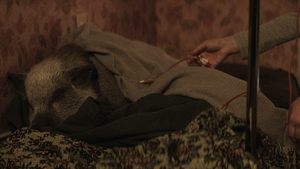 Рождение/перерождение кадр 7 онлайн-кинотеатр Эмбликс