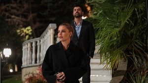 Восхитительный вечер кадр 2 на Эмбликс в Hd