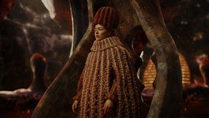 Бугония кадр 163 онлайн-кинотеатр Эмбликс