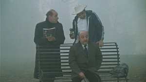 Из жизни отдыхающих кадр 4 онлайн-кинотеатр Эмбликс