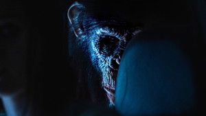 Примат кадр 1 онлайн-кинотеатр Эмбликс