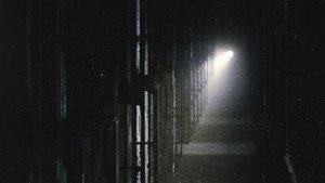 Шелби Оукс. Город-призрак кадр 2 онлайн-кинотеатр Эмбликс