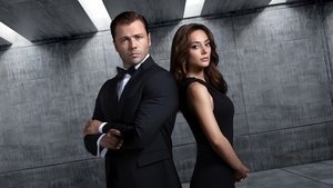 Контора кадр 1 на Эмбликс в Hd