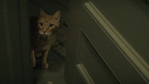 Тик-так... БУМ! кадр 26 онлайн-кинотеатр Эмбликс