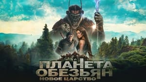 Планета обезьян: Новое царство кадр 52 онлайн-кинотеатр Эмбликс