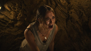 Примат кадр 7 онлайн-кинотеатр Эмбликс