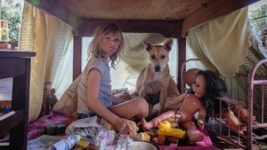 Не пойдём сегодня вечером к собакам кадр 1 онлайн-кинотеатр Эмбликс