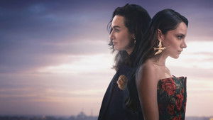 Полёт птицы кадр 7 на Эмбликс в Hd