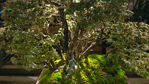 Метод исключения кадр 66 онлайн-кинотеатр Эмбликс