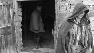 Туринская лошадь кадр 6 онлайн-кинотеатр Эмбликс