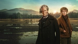 Сварить медведя кадр 1 на Эмбликс в Hd