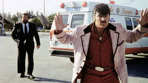 Собаки и кошки кадр 5 онлайн-кинотеатр Эмбликс