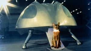 Кот из космоса кадр 1