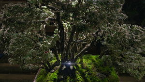 Метод исключения кадр 63 онлайн-кинотеатр Эмбликс