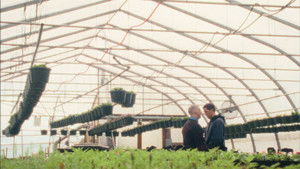 Полицейский в штатском кадр 12 онлайн-кинотеатр Эмбликс