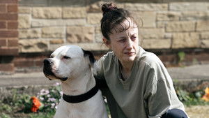 Стрекоза кадр 6 онлайн-кинотеатр Эмбликс