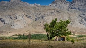 То, что ты убиваешь кадр 11 онлайн-кинотеатр Эмбликс