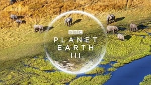 BBC: Планета Земля III кадр 10 на Эмбликс в Hd