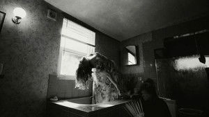 Бугония кадр 158 онлайн-кинотеатр Эмбликс