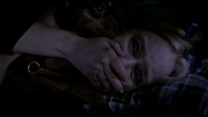 Ночь гризли кадр 3 онлайн-кинотеатр Эмбликс