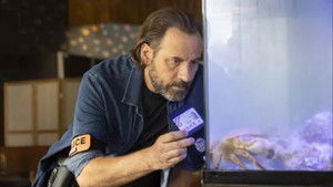 Зверский коп кадр 4 онлайн-кинотеатр Эмбликс