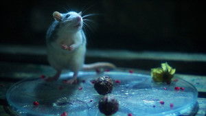 Бензопилы пели кадр 11 онлайн-кинотеатр Эмбликс