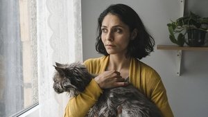 Кошка с дефектом кадр 4 онлайн-кинотеатр Эмбликс