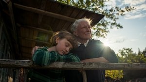 Летний альбом кадр 2 онлайн-кинотеатр Эмбликс