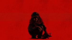 Примат кадр 7 онлайн-кинотеатр Эмбликс