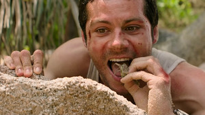 На помощь! кадр 29 онлайн-кинотеатр Эмбликс