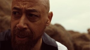 Последний фламинго красного летнего заката кадр 5 онлайн-кинотеатр Эмбликс