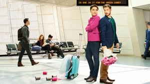 Виза невесты. Виза жениха кадр 21 на Эмбликс в Hd